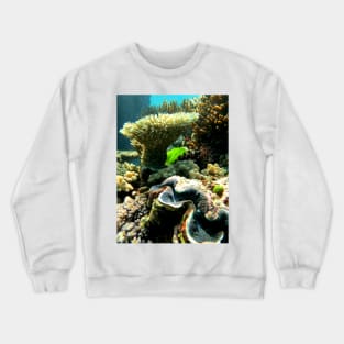 Giant Clam Crewneck Sweatshirt